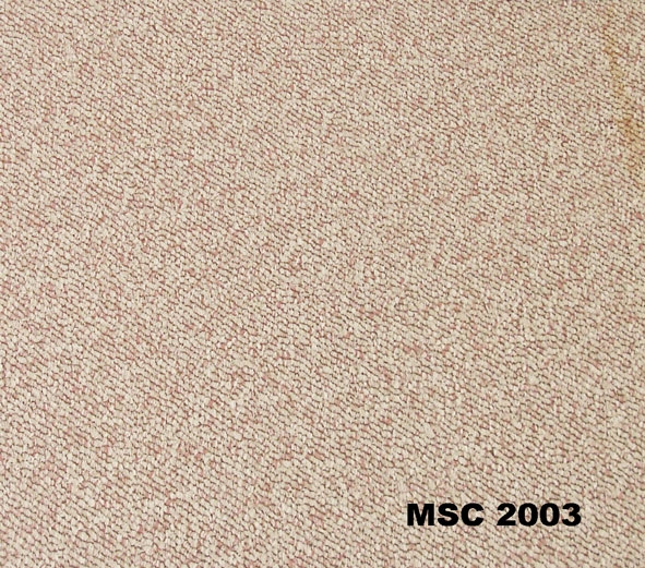 San-nhua-van-tham-MSC 2003